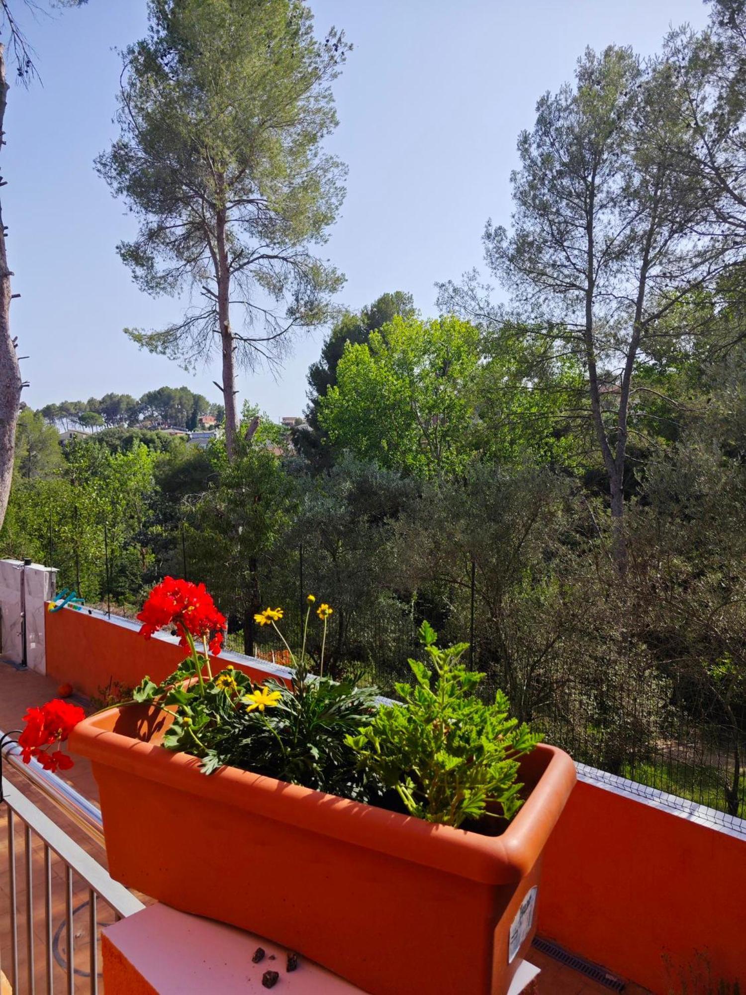הוילה סנט אסטב ססרובירס Relax House Barcelone מראה חיצוני תמונה
